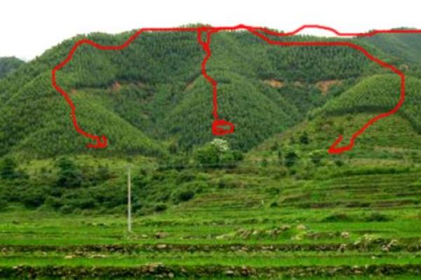 公墓风水怎么看