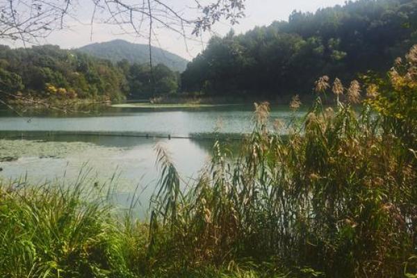 乌龟风水_龟眠之地是什么