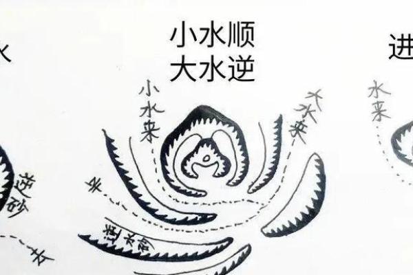 子孙后代风水