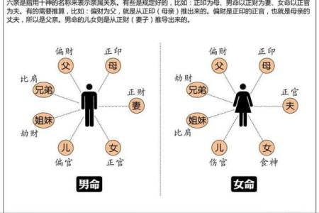 南京哪所大学会学算命