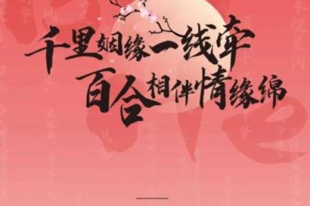 月老不赐姻缘