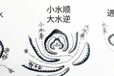 子孙后代风水
