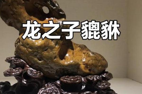 风水上龙生九子是哪九子貔貅饕餮麒麟是吗