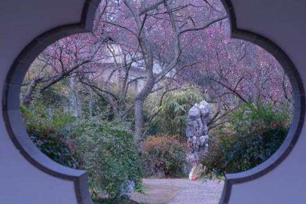 梅花窗花风水