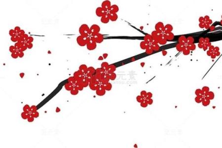 梅花窗花风水