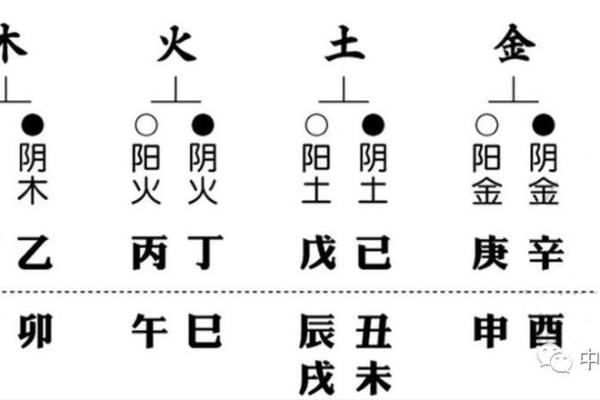 三会的八字