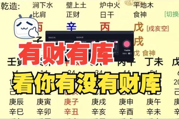 八字财库讲解