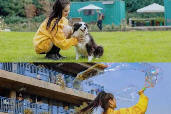 美女看客栈风水