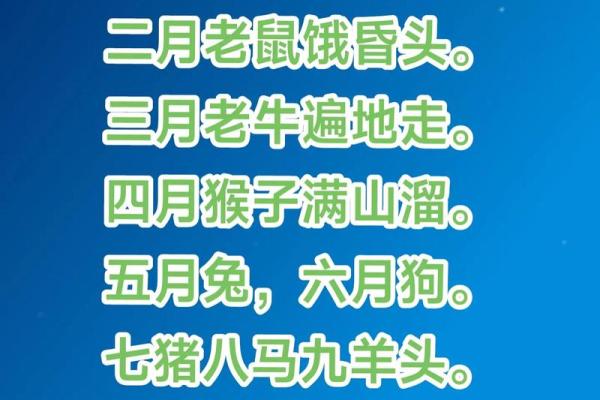 八字命理：天禄天马取法用法