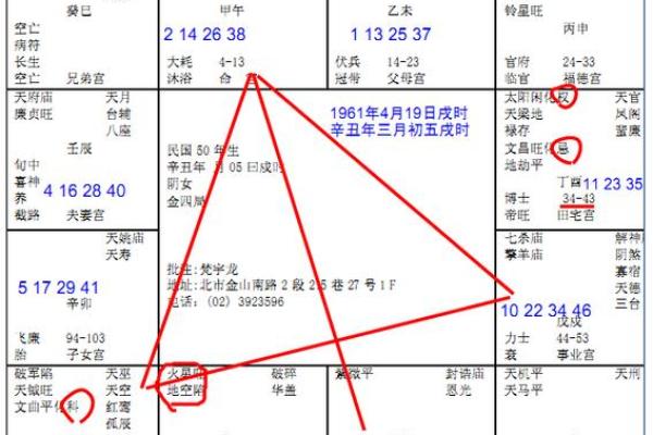 紫薇斗数从戍起子