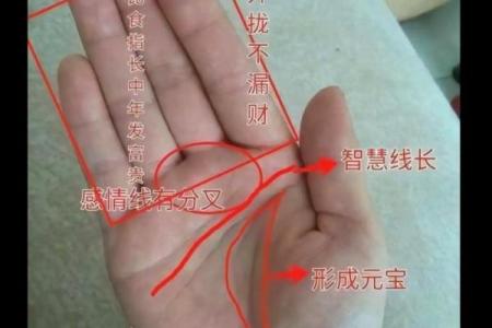 十指指纹算命看你命运吉凶，最全最具体最准