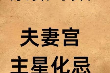 紫微斗数诸星落诸宫之：七杀星兄弟宫详解