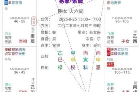 紫微斗数诸星落命宫之：天府星详解