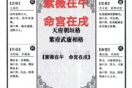 1986年7月22日紫薇斗数是什么