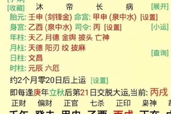 【八字癸巳】你知道在八字中代表什么吗？