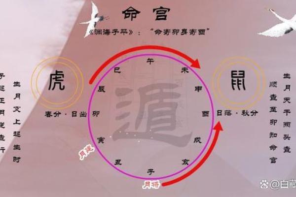 八字360