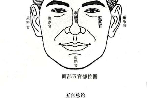 相面八字眉的面相解析与注重方法详解