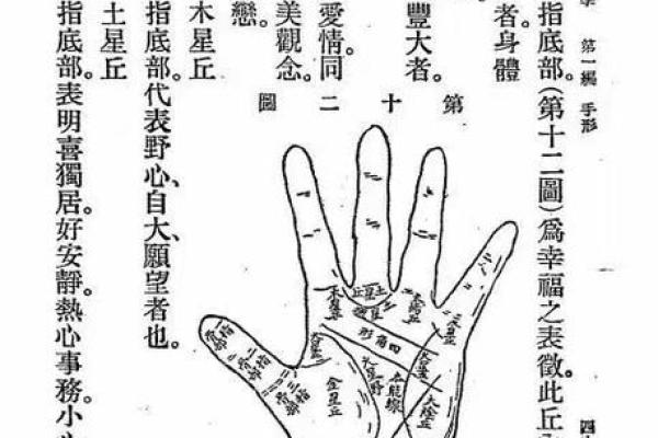 手相-掌丘算命图解