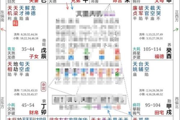 配偶本地外地紫薇斗数