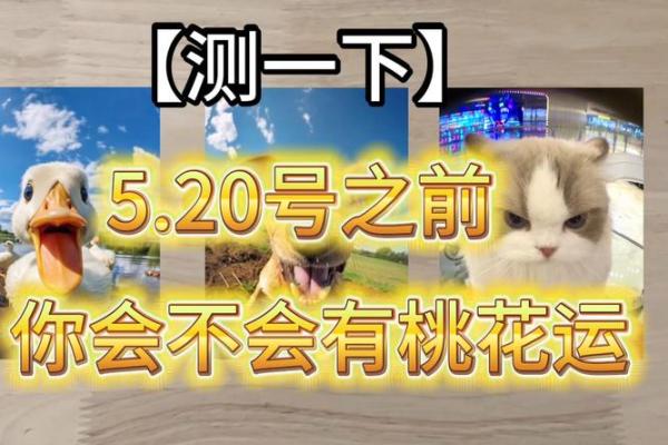 塔罗测试：下半年的桃花运如何？