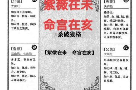 紫薇斗数命盘会照