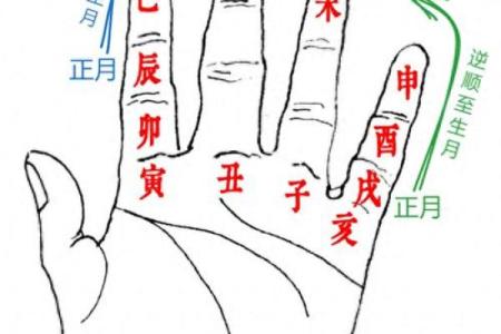 紫薇斗数冲破天罗地网