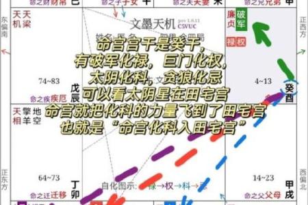紫微斗数之生年干四化表象：田宅宫四化表象