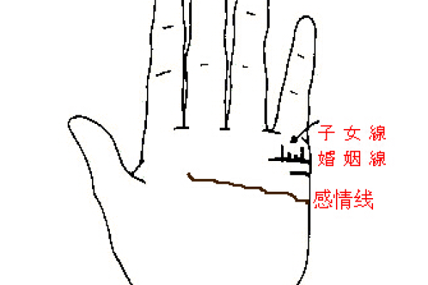 什么八字女命生多胞胎儿子