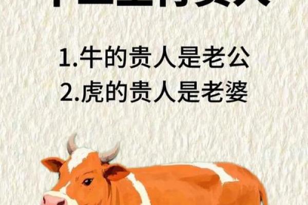 属牛人婚姻配对