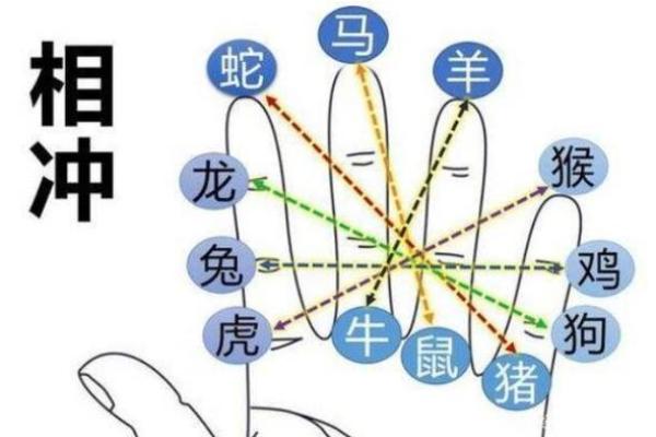 周易中属什么生肖？解析周易生肖配对