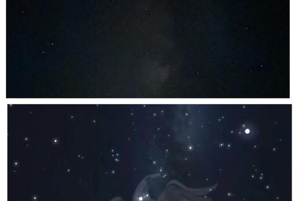 人马哪个星座最好
