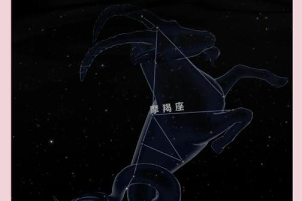 最霸气的星座是摩羯座吗女生