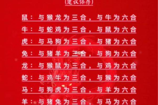 十二肖和十二生肖配对,十二生肖最佳婚配表是怎样的？