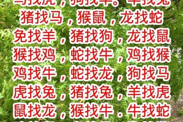 十二肖和十二生肖配对,十二生肖最佳婚配表是怎样的？