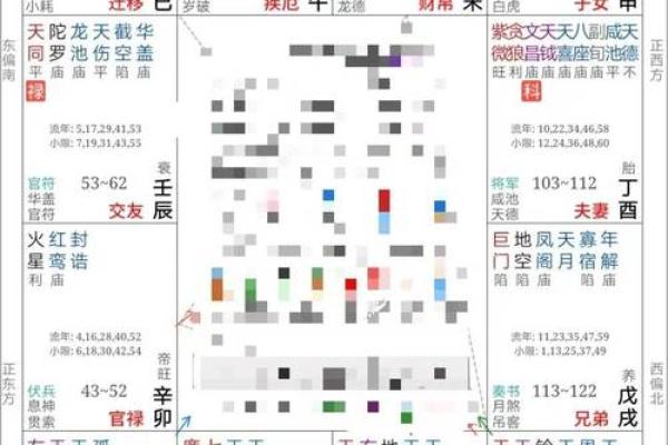 赵雅芝紫薇斗数