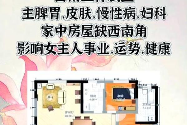 用风水如何调和女命伤官见官的影响