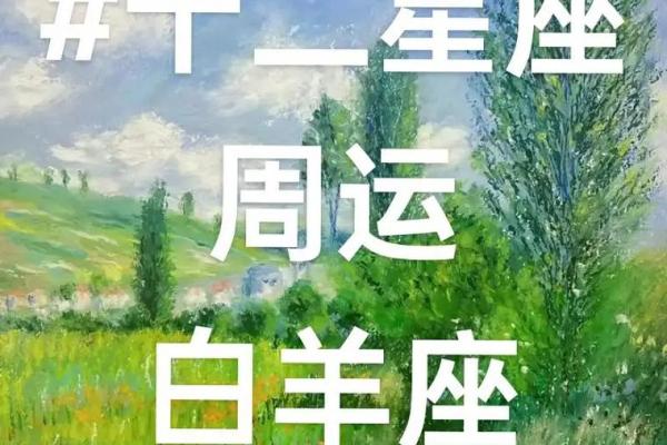 12星座第二周运势最新