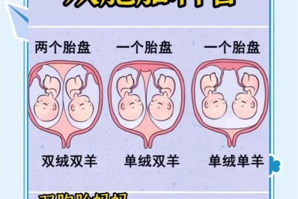 为什么双胞胎生辰八字相同，命运为什么不同？
