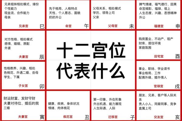 紫微斗数紫薇落官禄宫