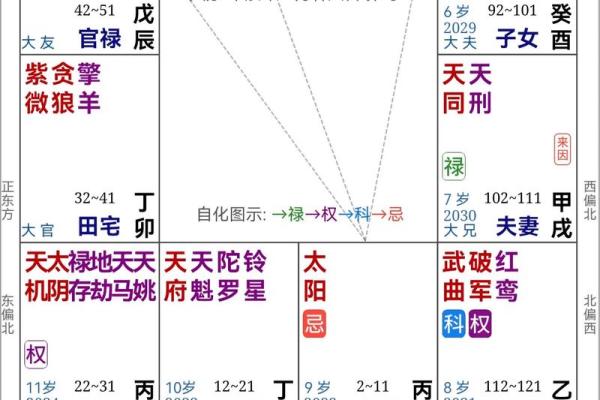 紫薇斗数紫薇独坐