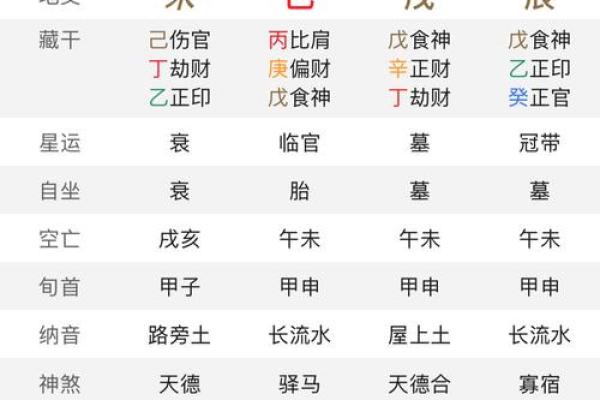 八字命宫辛亥是什么意思