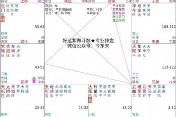 紫薇斗数流年免费算命
