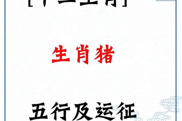 属猪和什么属相最配对 属猪和什么属相相冲