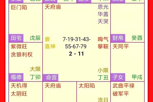 紫薇斗数看一生命运