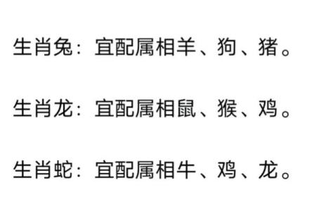 最准的12生肖配对表