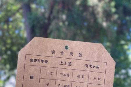 大兴善寺灵签多长时间一次