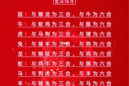 十二肖和十二生肖配对,十二生肖最佳婚配表是怎样的？