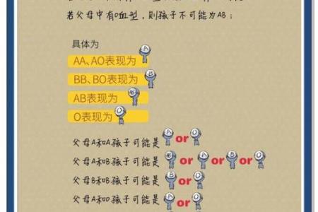 血型完美妻子的解析