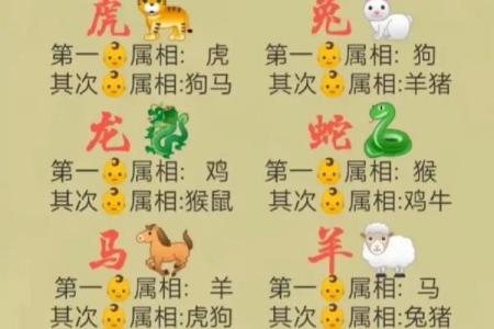 属鼠的血型和性格命运