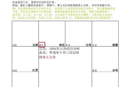 赵雅芝紫薇斗数